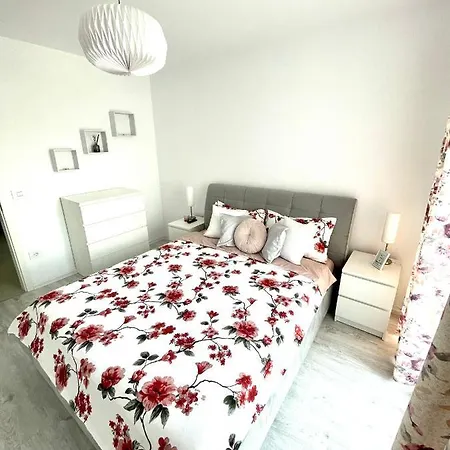 Bright Studio Near Coresi Mall *
