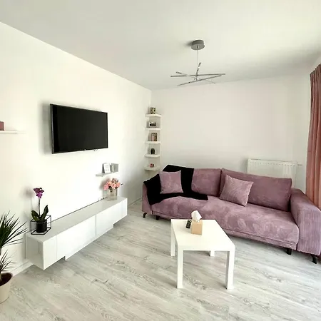 Bright Studio Near Coresi Mall Apartment *
